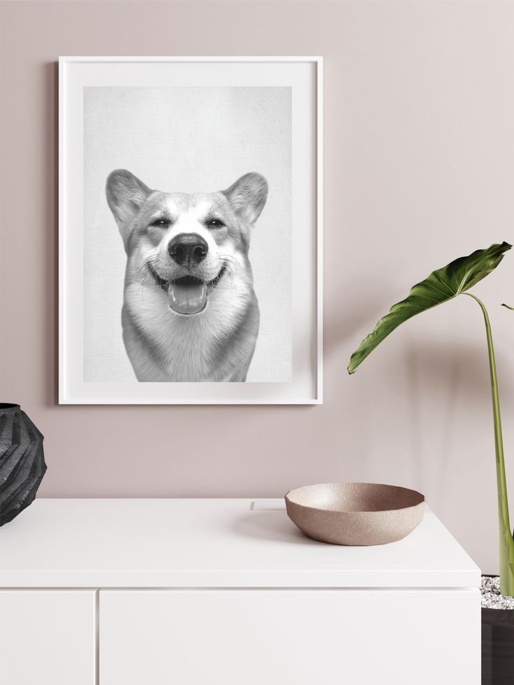 Quadro personalizzato con la foto del tuo cane